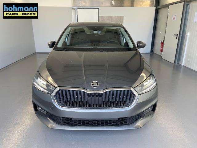 Fahrzeugbild eines Skoda Fabia