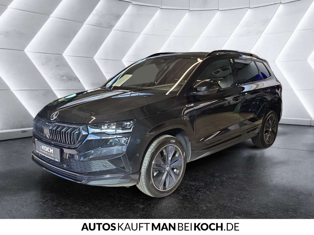 Fahrzeugbild eines Skoda Karoq