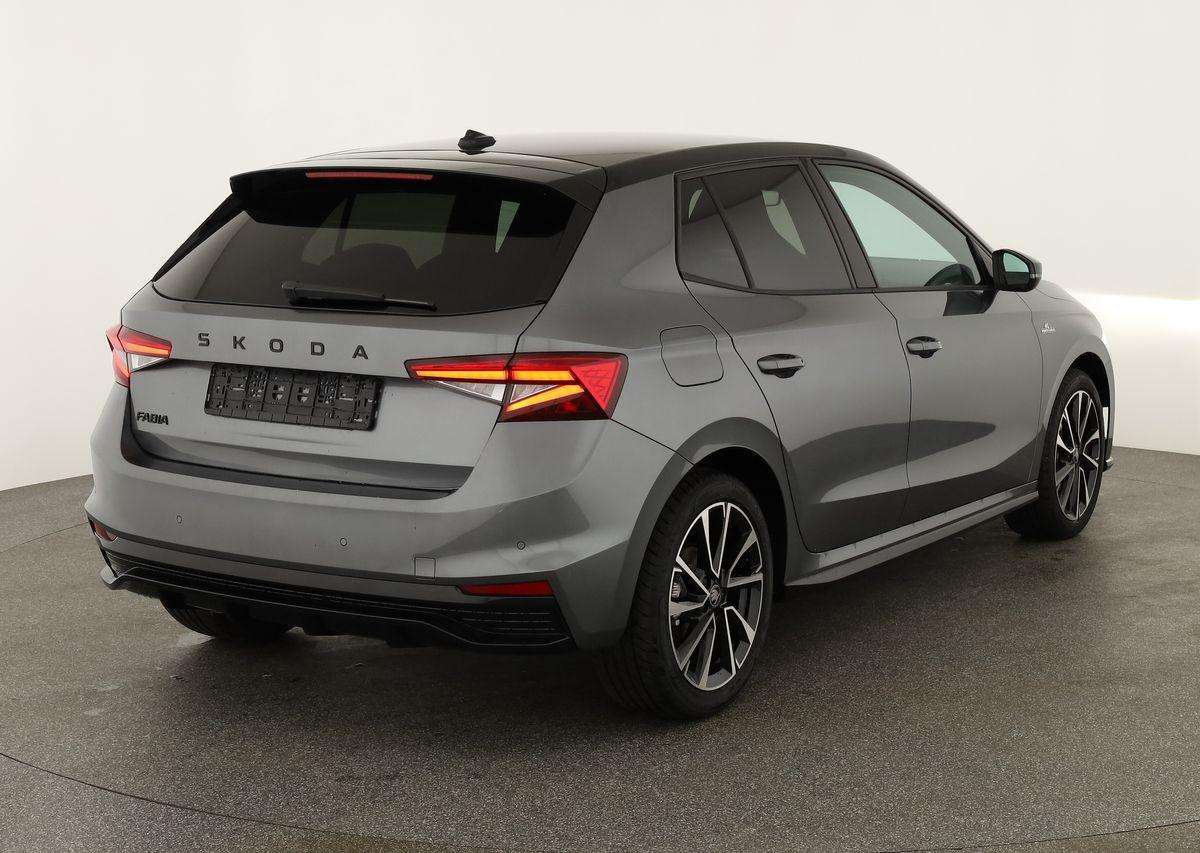 Fahrzeugbild eines Skoda Fabia
