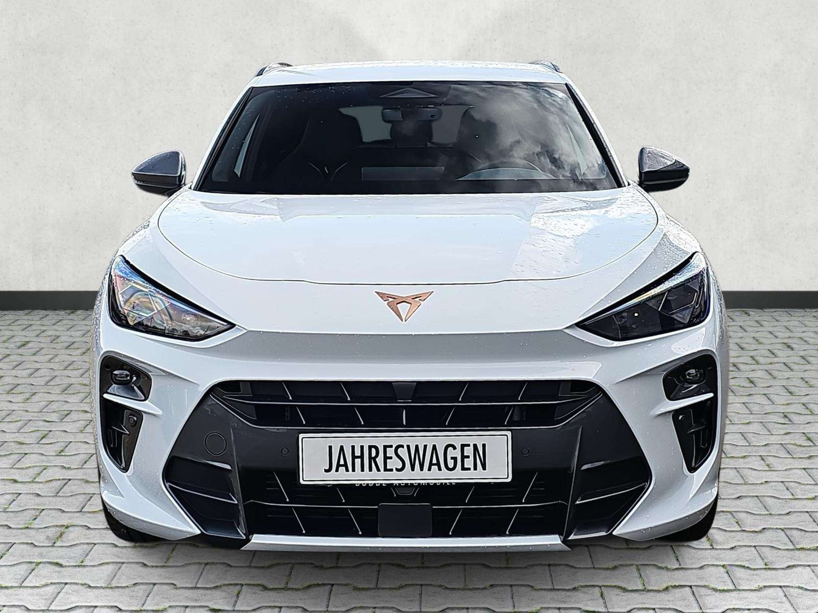 Fahrzeugbild eines CUPRA Terramar