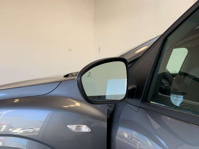 Fahrzeugbild eines Dacia Sandero