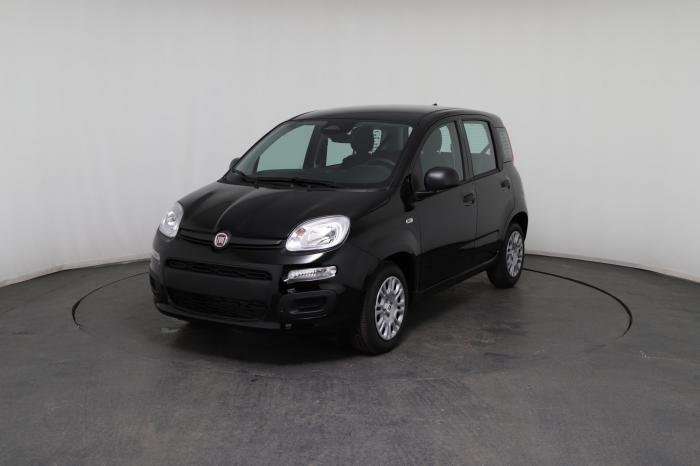 Fahrzeugbild eines Fiat Panda