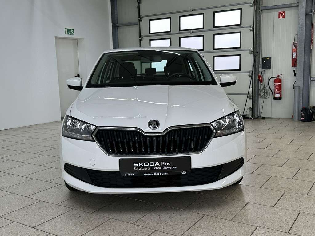 Fahrzeugbild eines Skoda Fabia