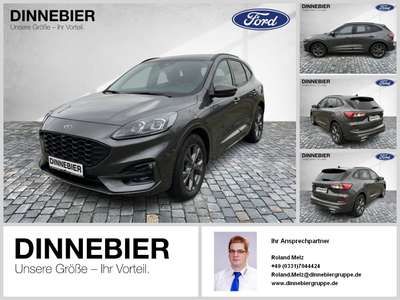 Bild Ford Kuga