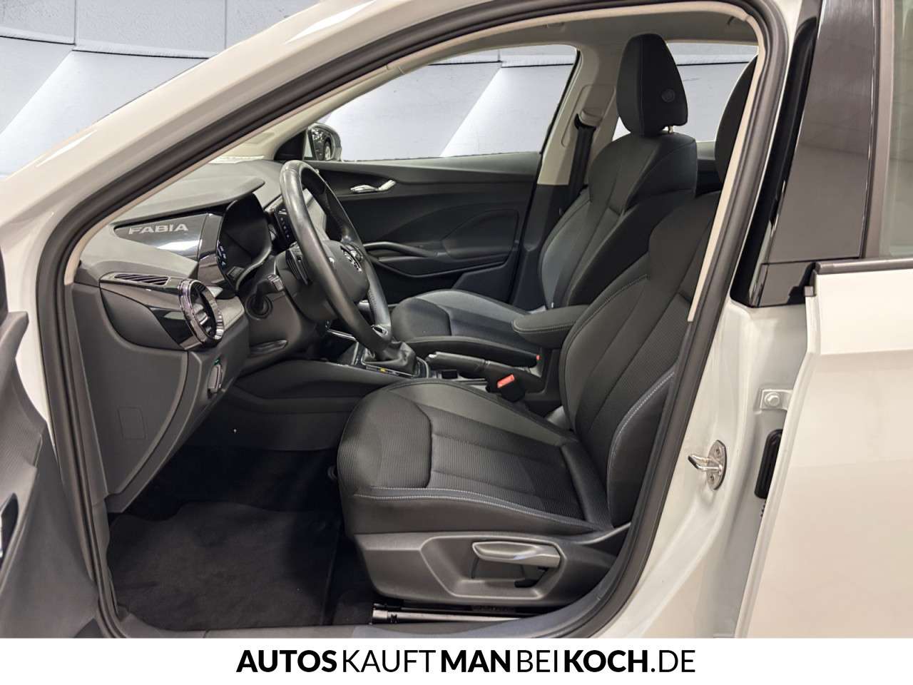 Fahrzeugbild eines Skoda Fabia