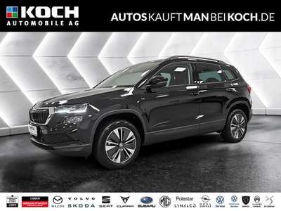 Bild Skoda Karoq