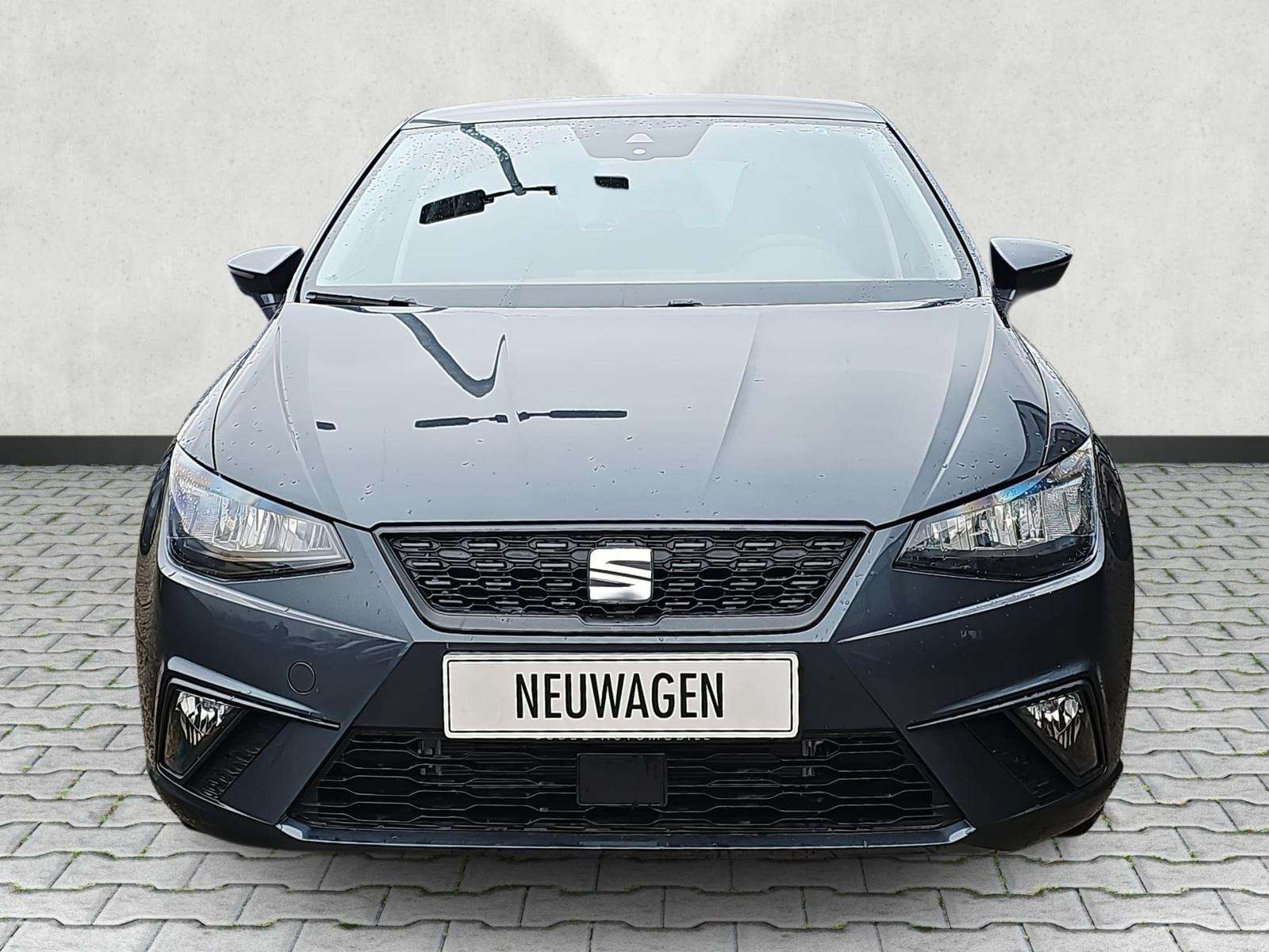 Fahrzeugbild eines SEAT Ibiza