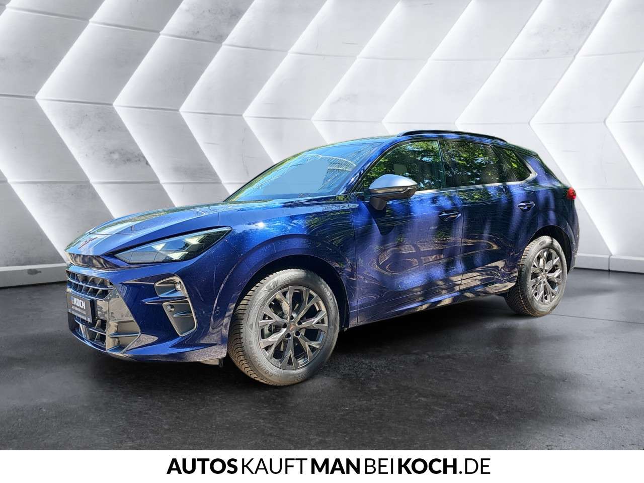 Fahrzeugbild eines CUPRA Terramar