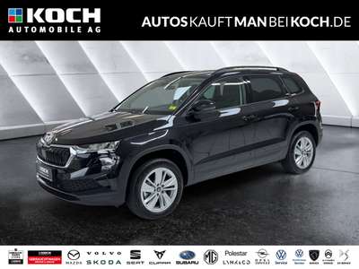 Bild Skoda Karoq