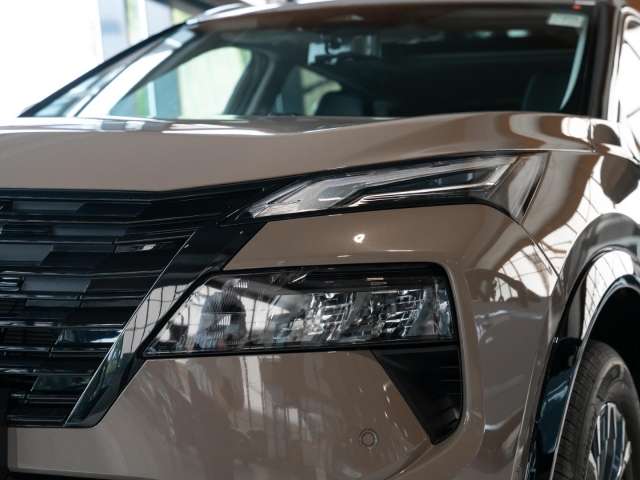 Fahrzeugbild eines Nissan X-TRAIL