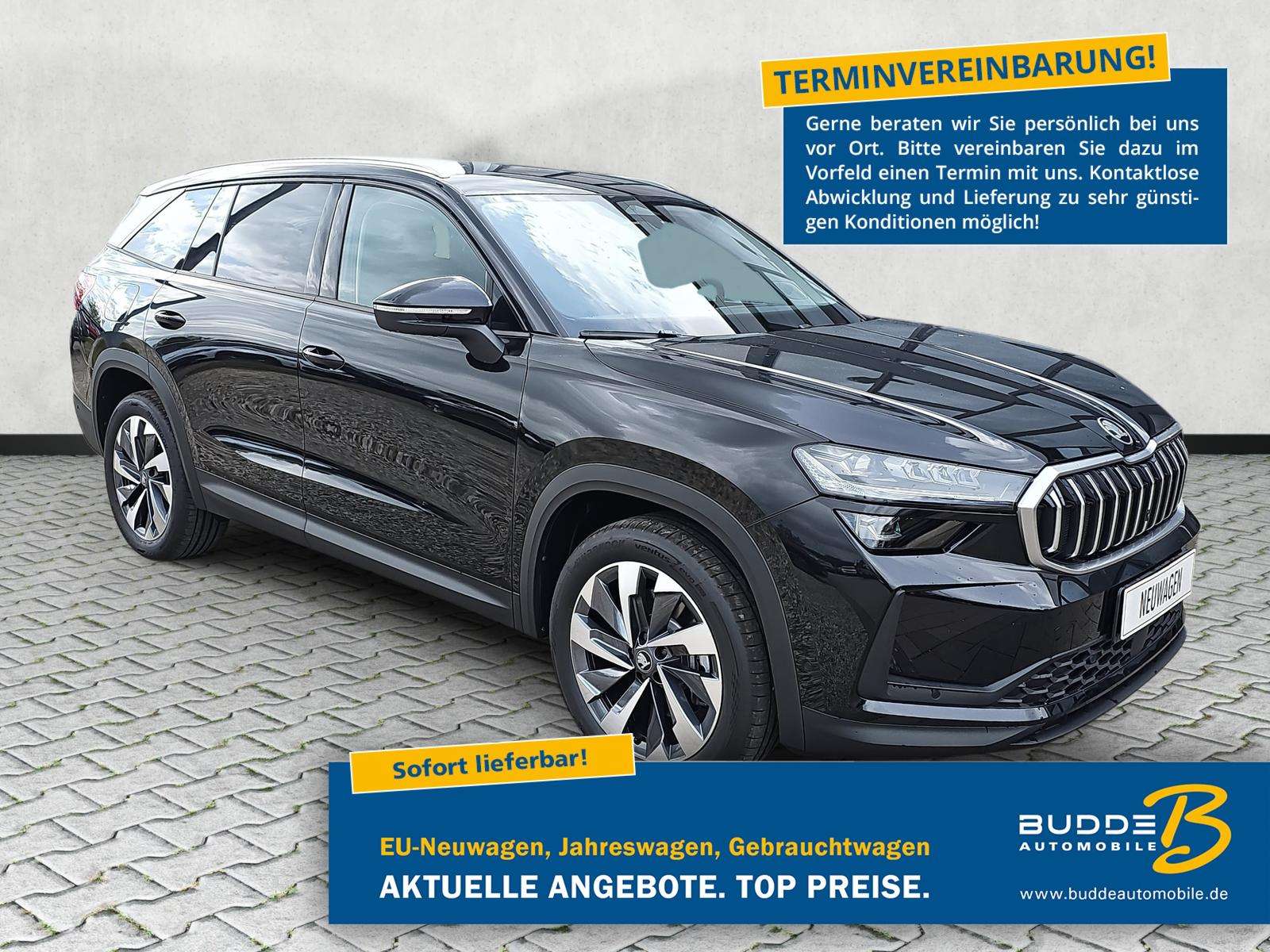 Fahrzeugbild eines Skoda Kodiaq