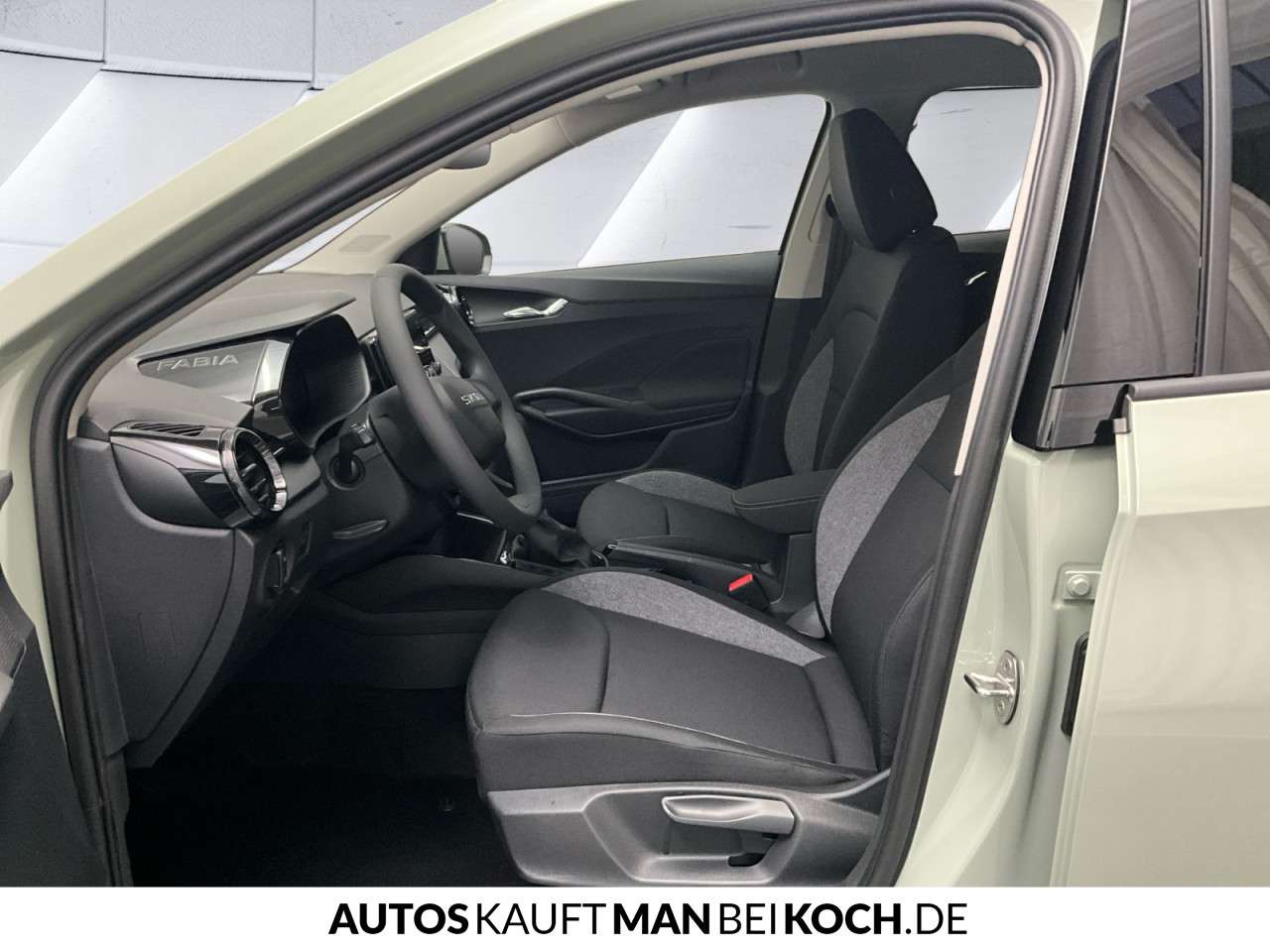 Fahrzeugbild eines Skoda Fabia
