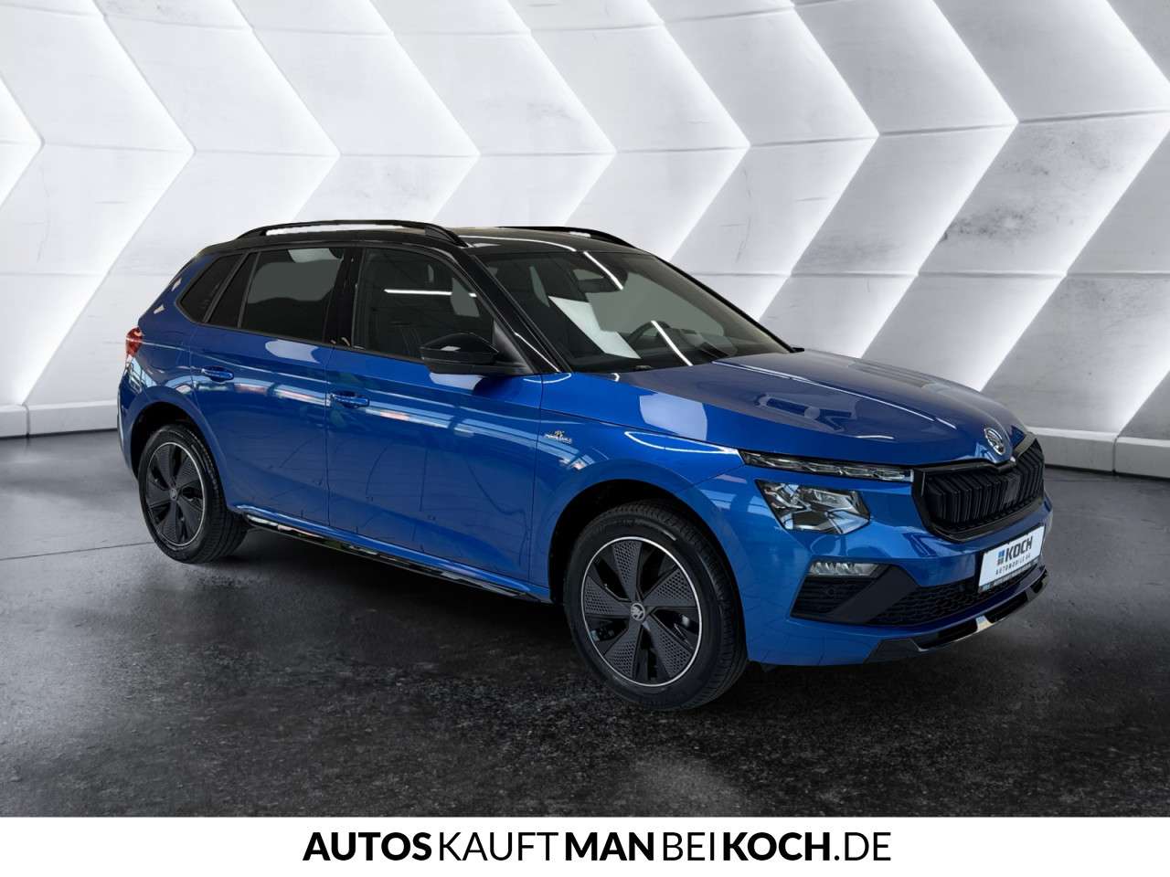 Fahrzeugbild eines Skoda Kamiq