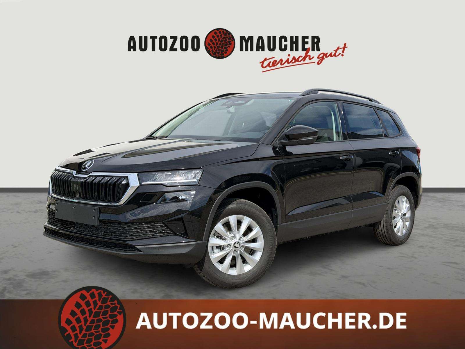Fahrzeugbild eines Skoda Karoq