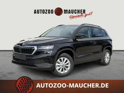 Bild Skoda Karoq