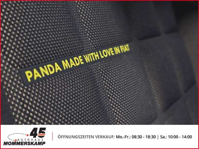 Fahrzeugbild eines Fiat Grande Panda