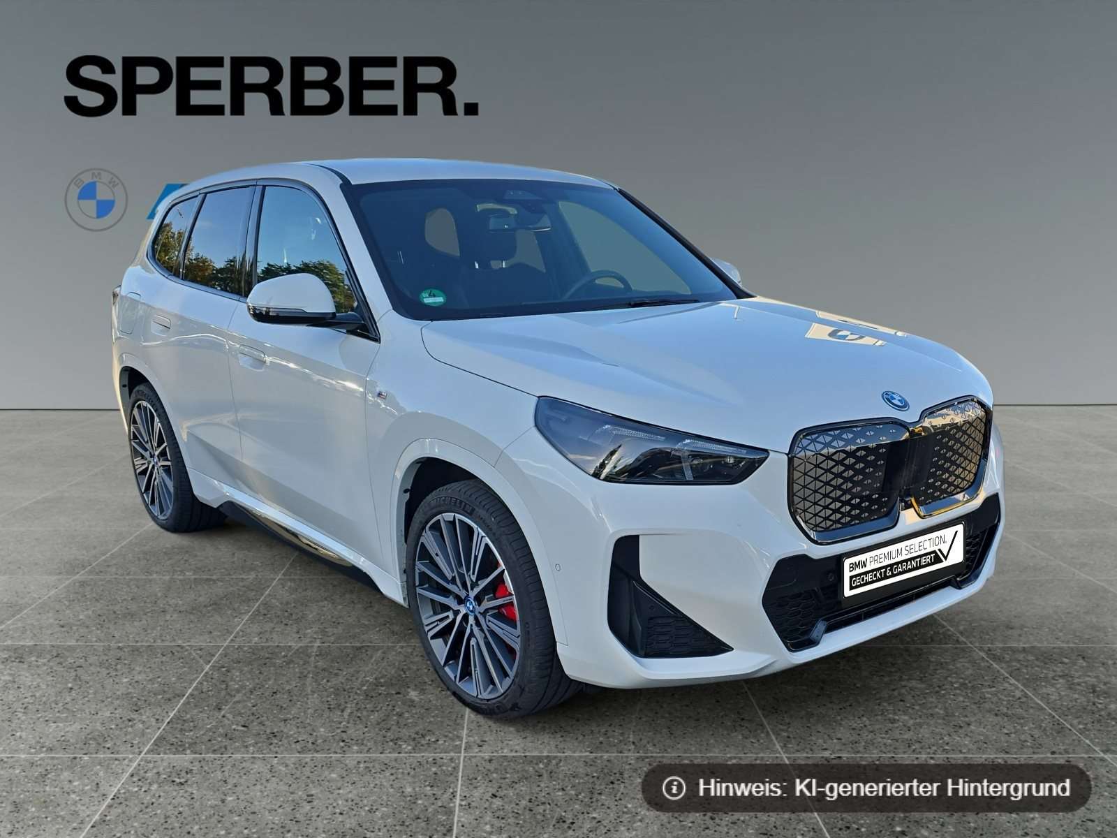 Fahrzeugbild eines BMW iX1