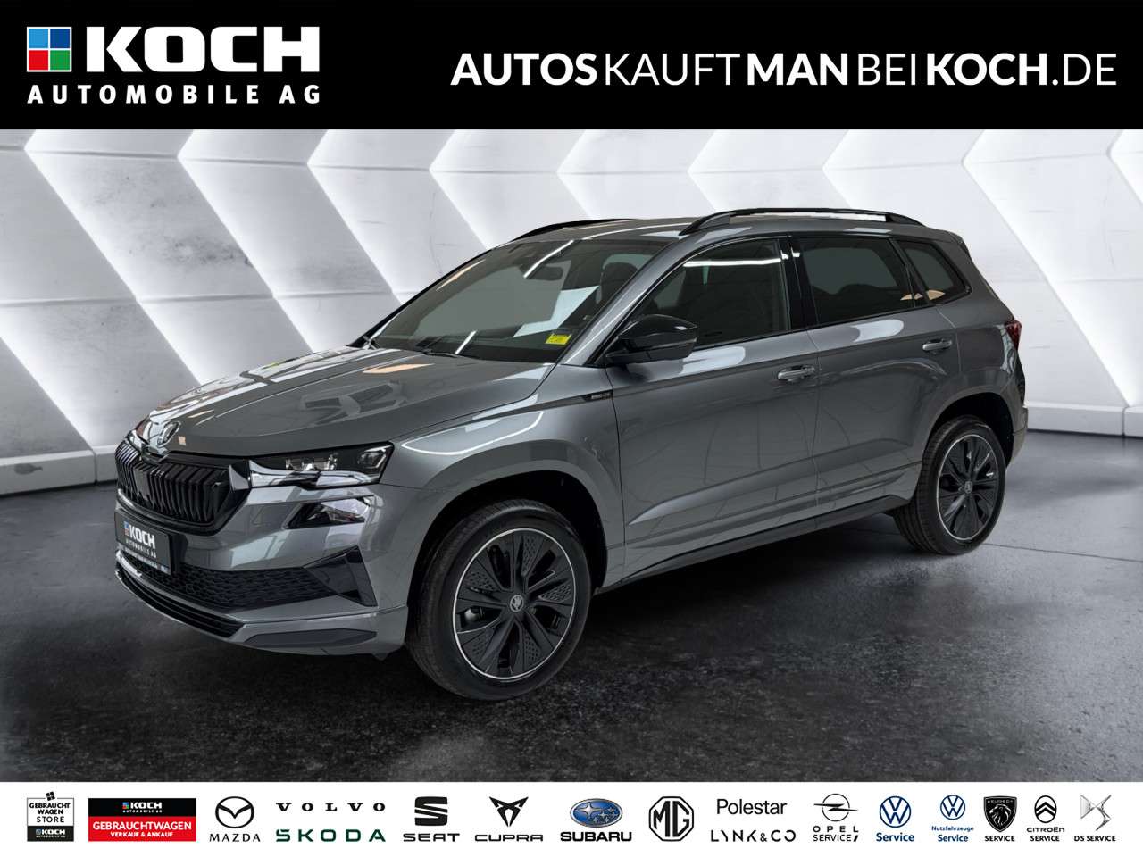 Fahrzeugbild eines Skoda Karoq