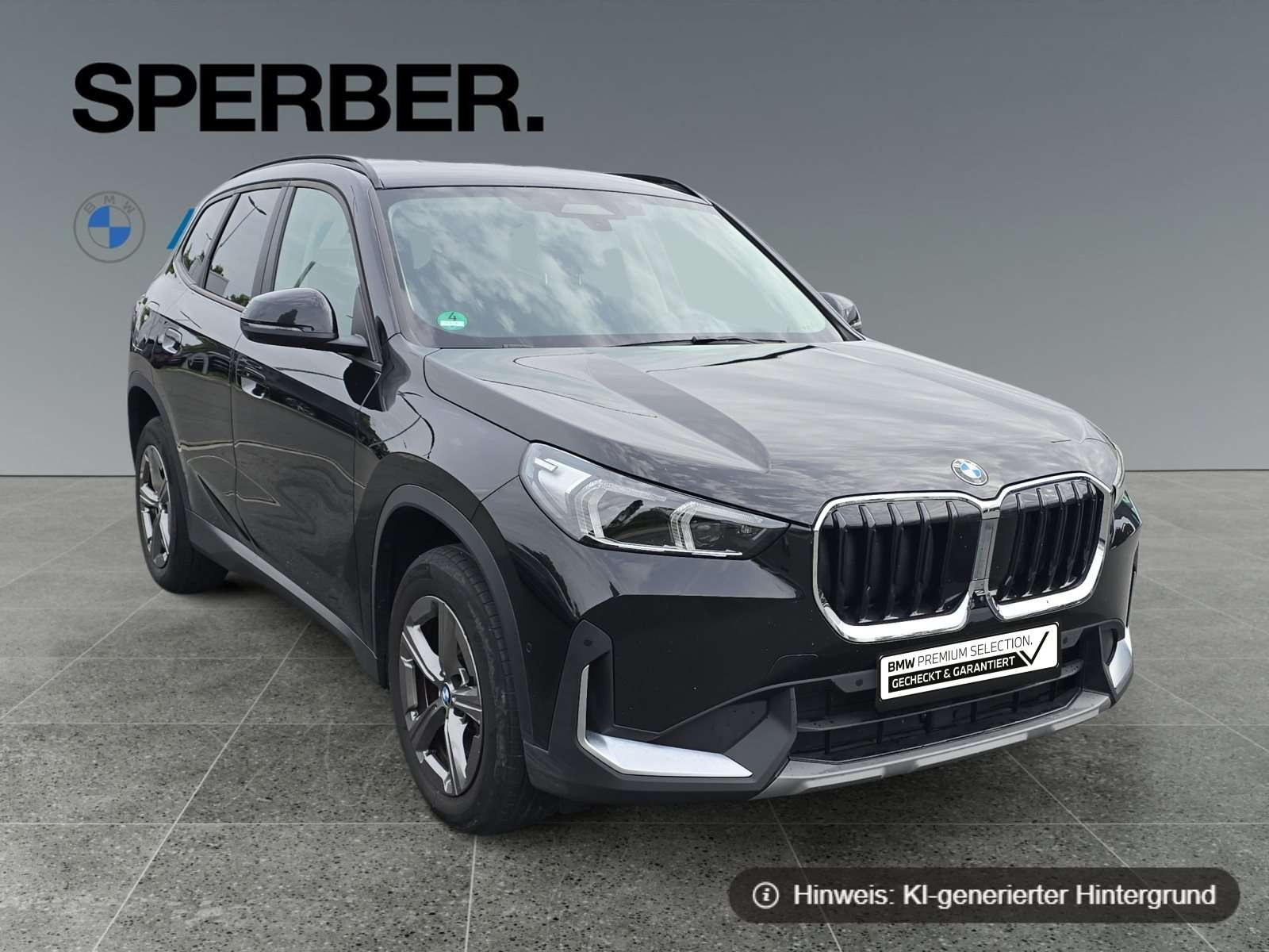 Fahrzeugbild eines BMW X1