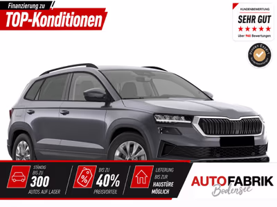 Bild Skoda Karoq