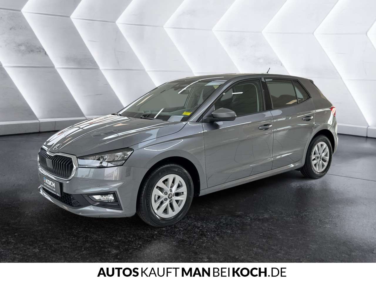Fahrzeugbild eines Skoda Fabia