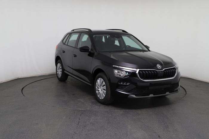 Fahrzeugbild eines Skoda Kamiq