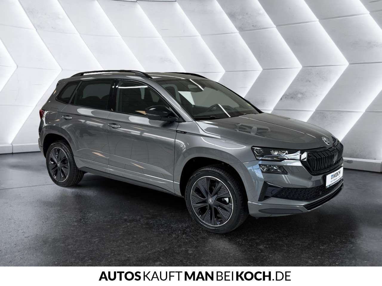 Fahrzeugbild eines Skoda Karoq