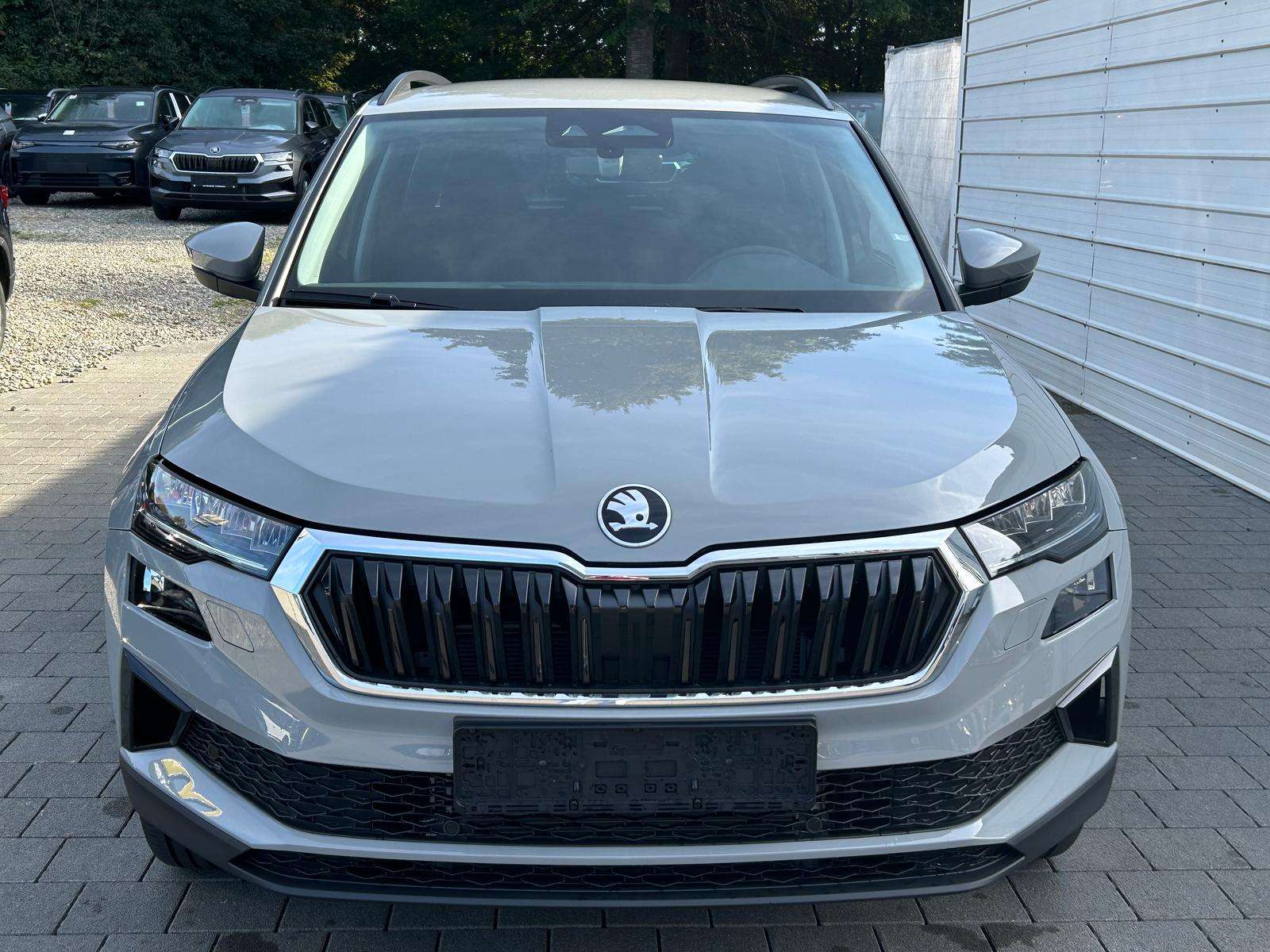 Fahrzeugbild eines Skoda Karoq