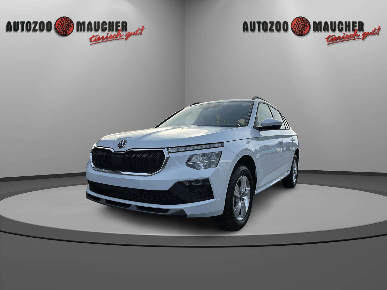 Fahrzeugbild eines Skoda Kamiq