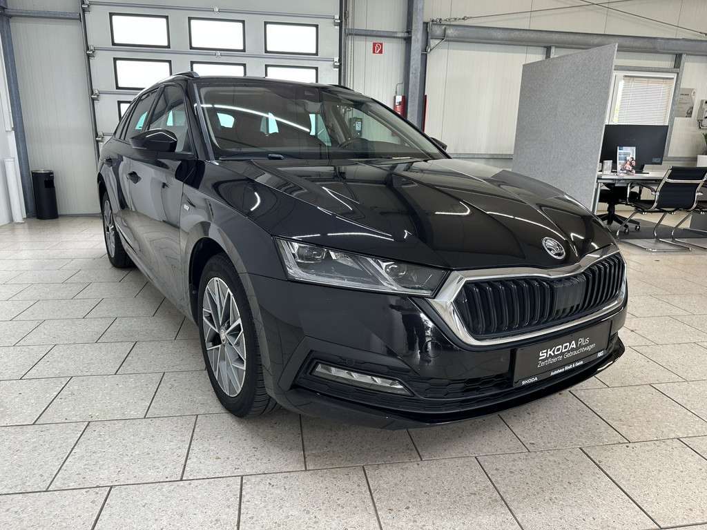 Fahrzeugbild eines Skoda Octavia