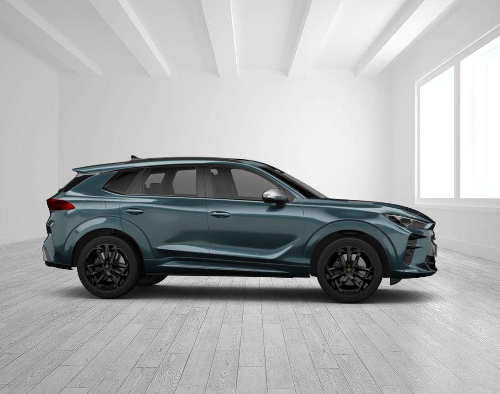 Fahrzeugbild eines CUPRA Terramar