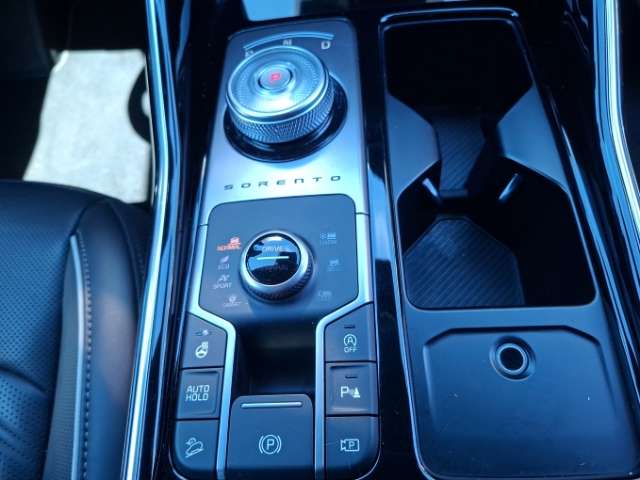 Fahrzeugbild eines Kia Sorento