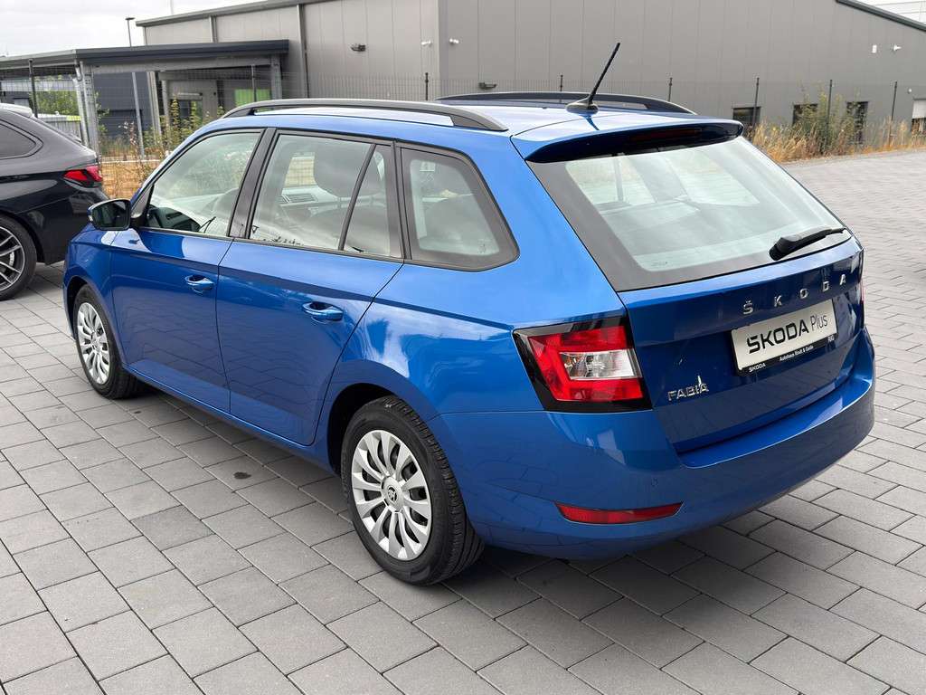 Fahrzeugbild eines Skoda Fabia