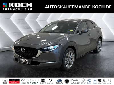 Bild Mazda CX-30