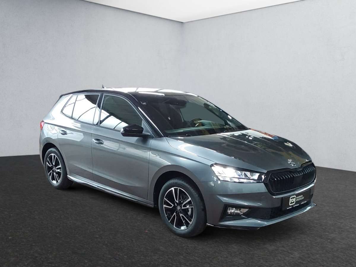 Fahrzeugbild eines Skoda Fabia