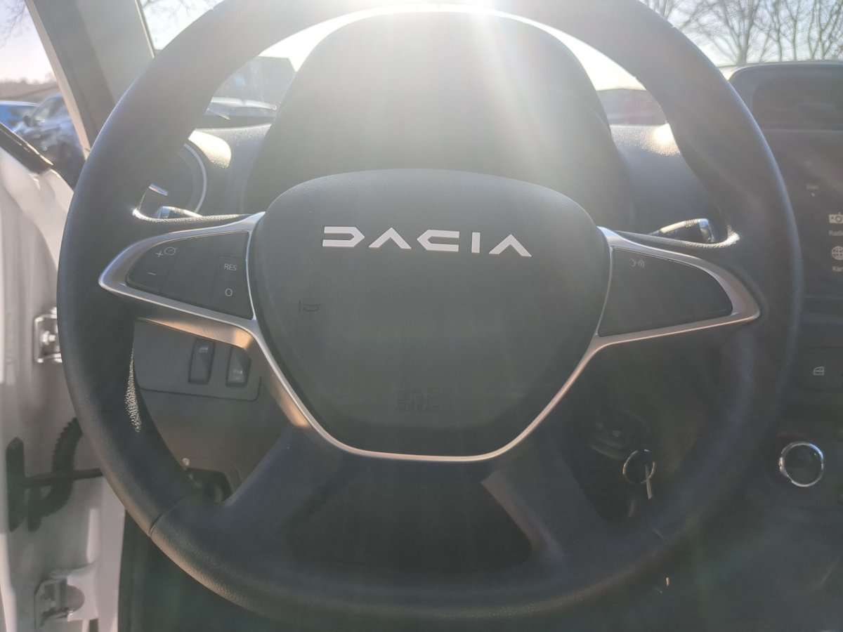 Fahrzeugbild eines Dacia Spring
