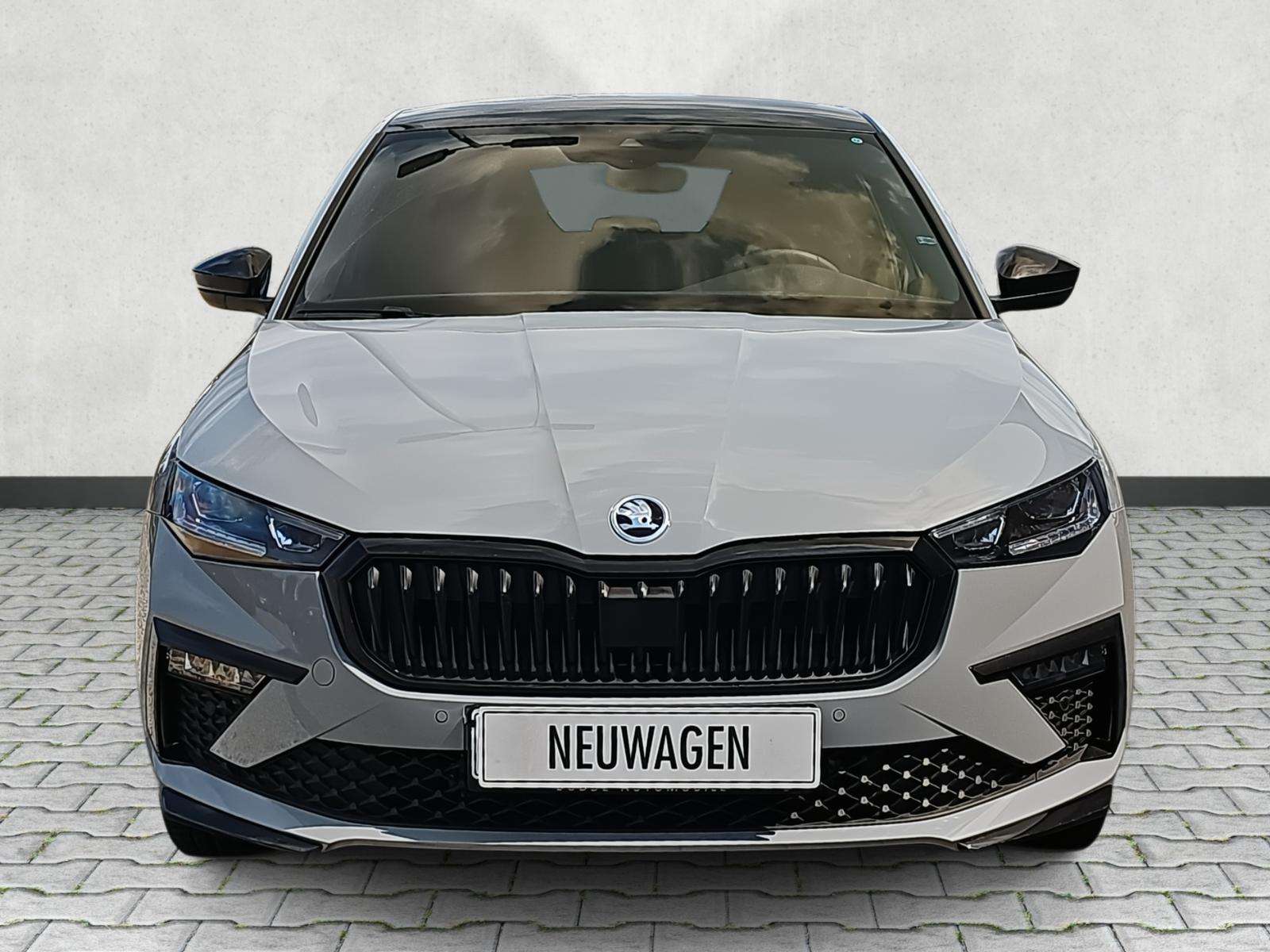 Fahrzeugbild eines Skoda Scala