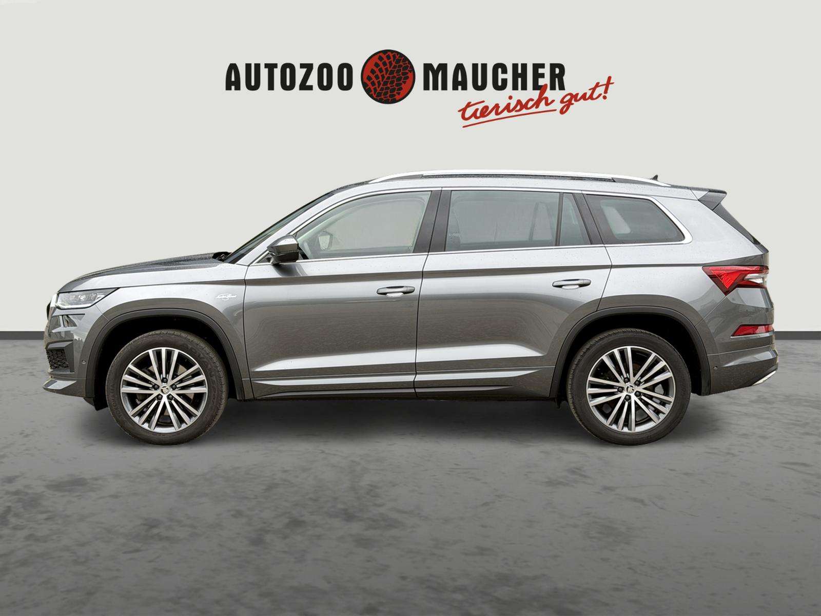 Fahrzeugbild eines Skoda Kodiaq