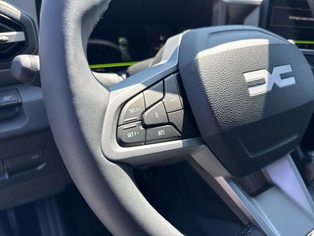 Fahrzeugbild eines Dacia Bigster