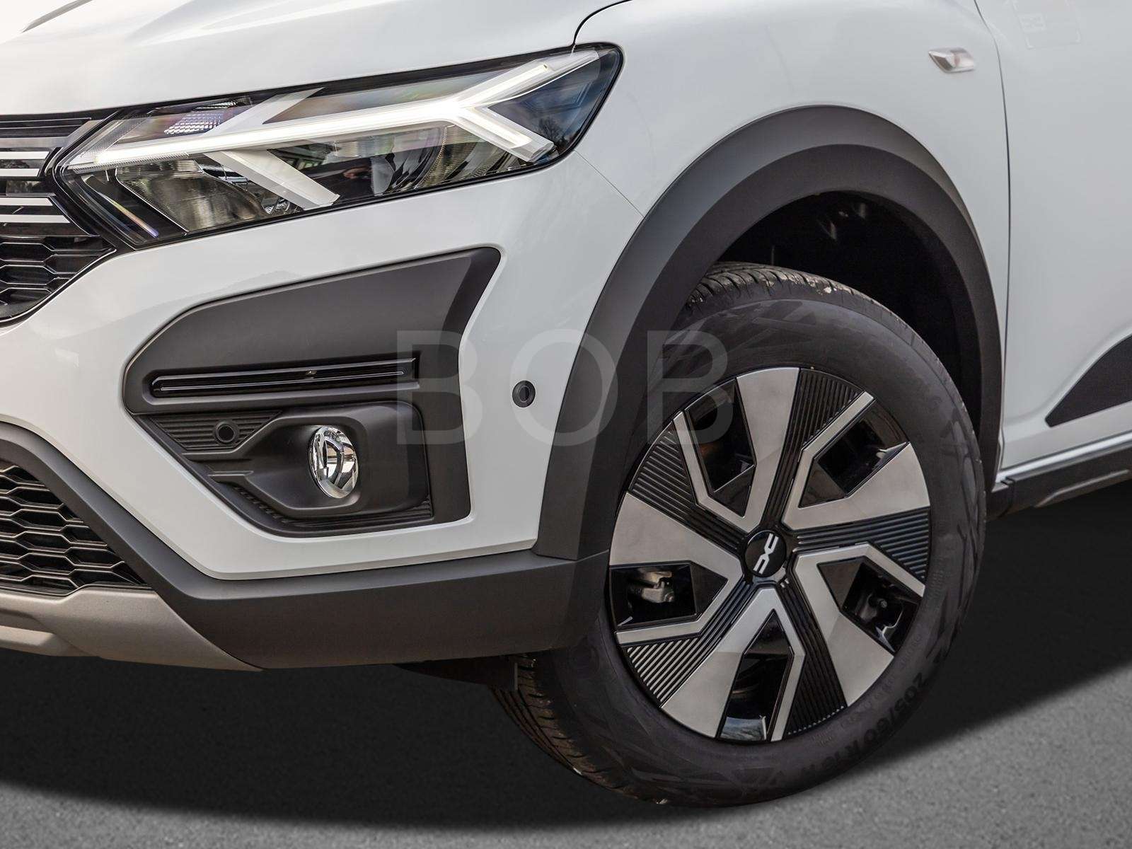 Fahrzeugbild eines Dacia Sandero