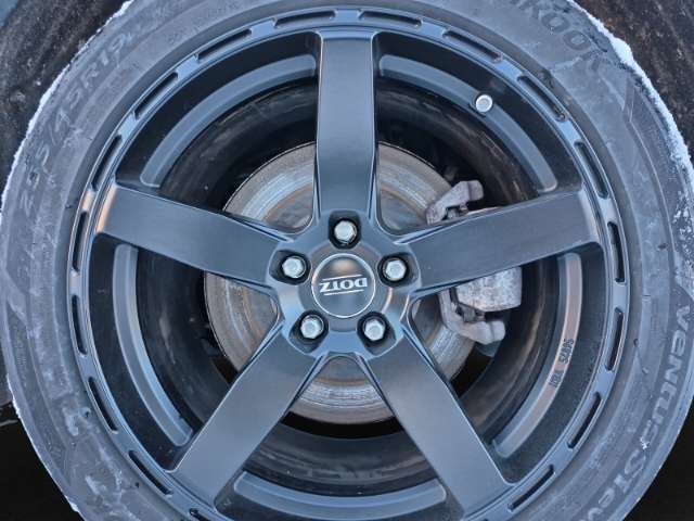 Fahrzeugbild eines TESLA Model Y