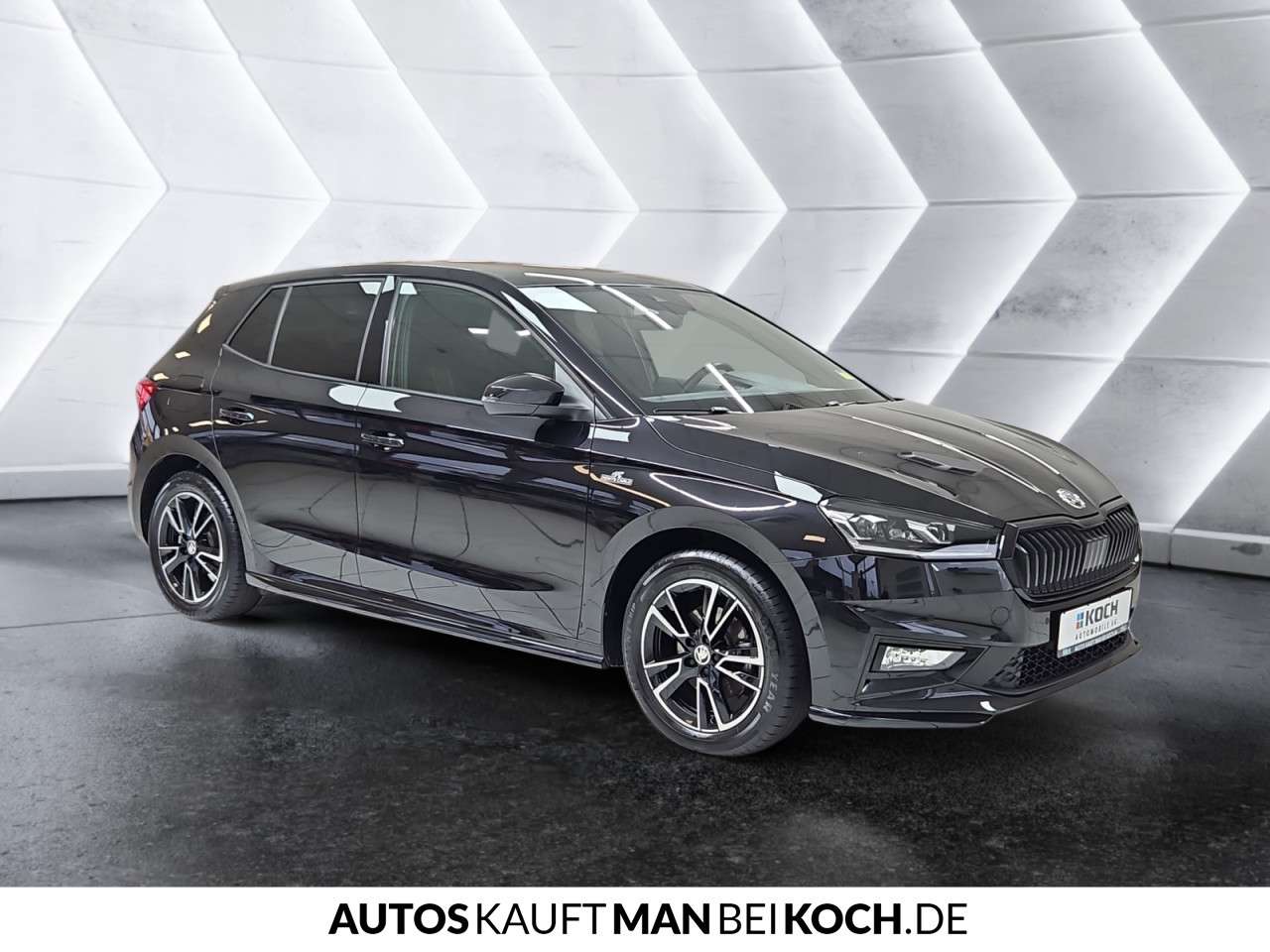 Fahrzeugbild eines Skoda Fabia