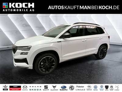 Bild Skoda Karoq