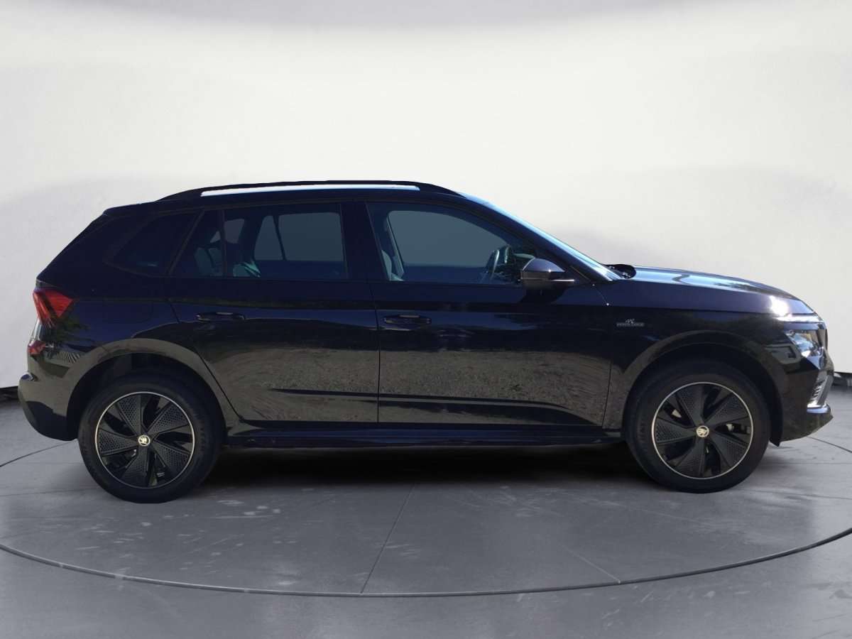 Fahrzeugbild eines Skoda Kamiq
