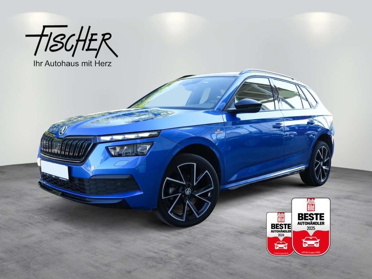 Fahrzeugbild eines Skoda Kamiq