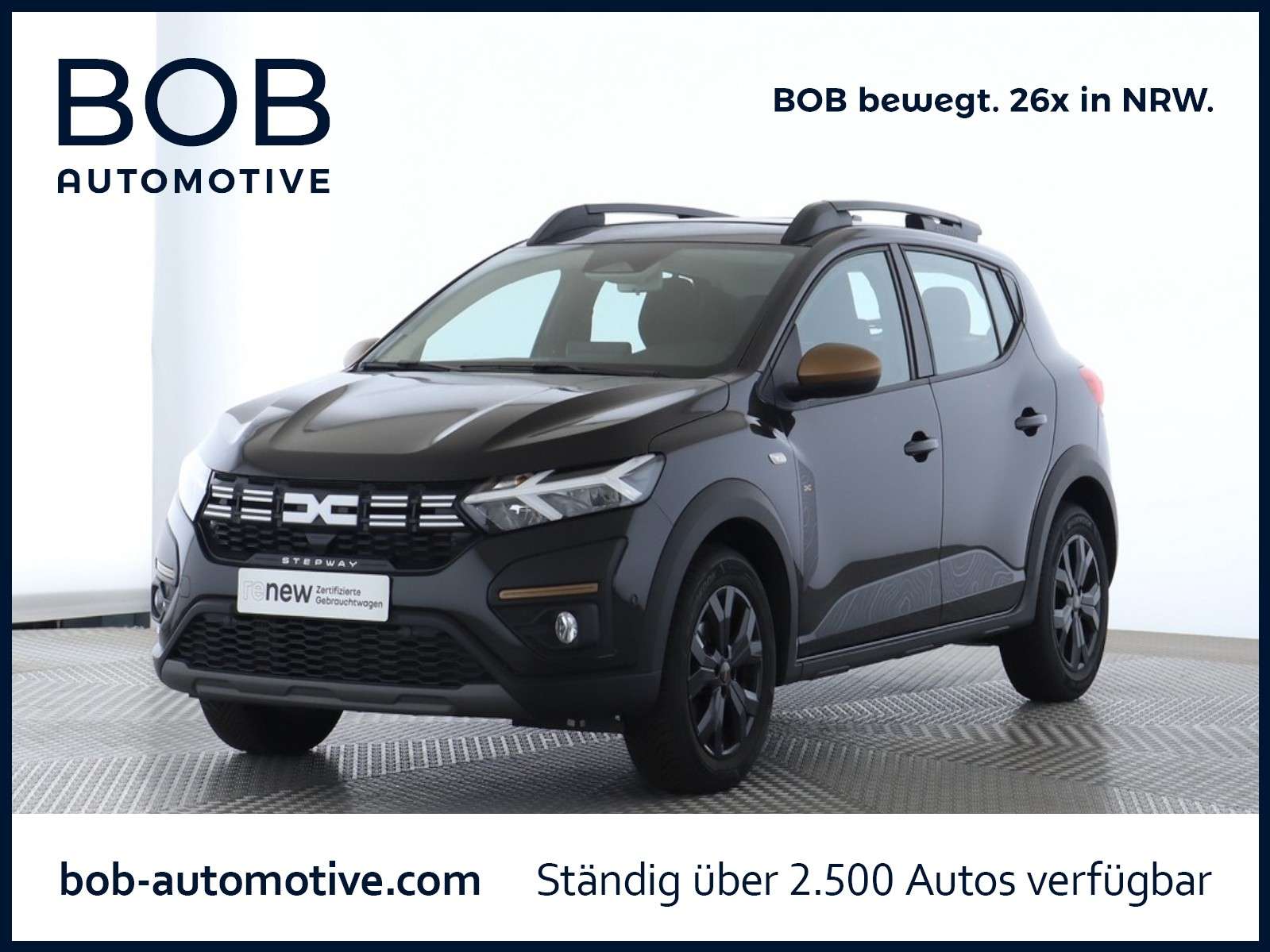 Fahrzeugbild eines Dacia Sandero