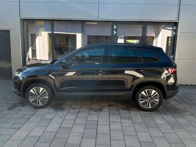 Bild Skoda Karoq