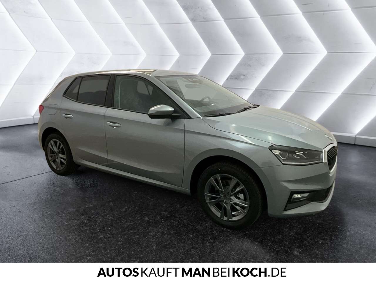 Fahrzeugbild eines Skoda Fabia