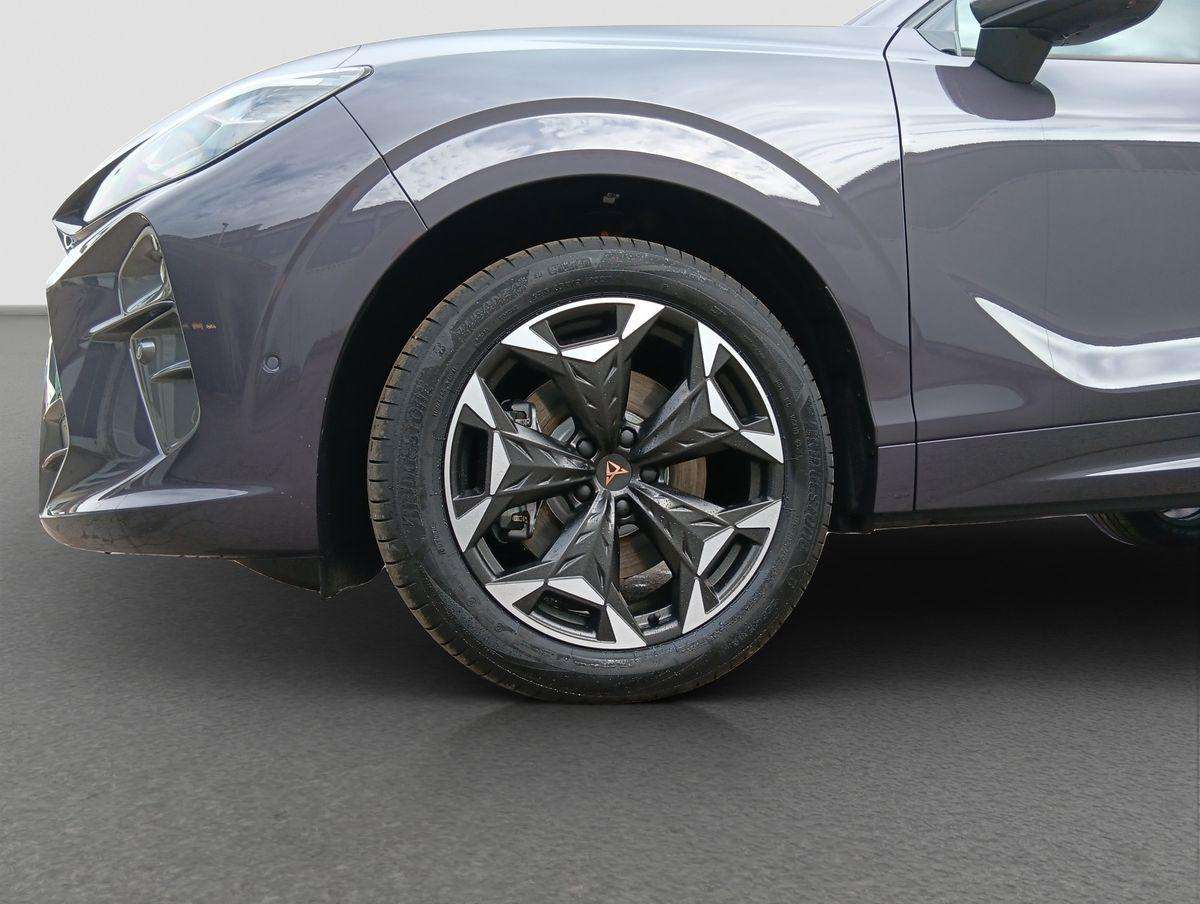 Fahrzeugbild eines CUPRA Terramar