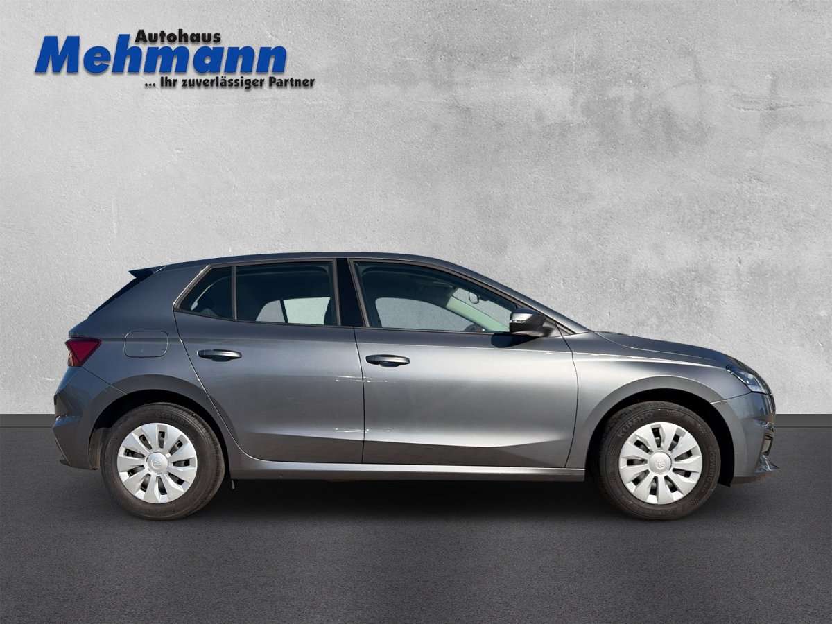 Fahrzeugbild eines Skoda Fabia